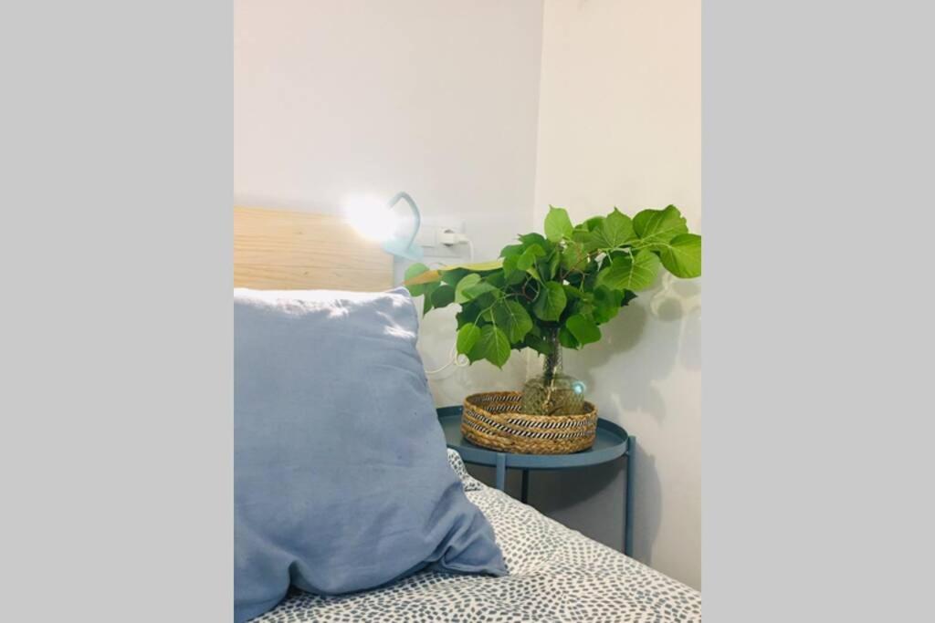 格拉纳达Apartamento Centro Catedral Botanico公寓 外观 照片