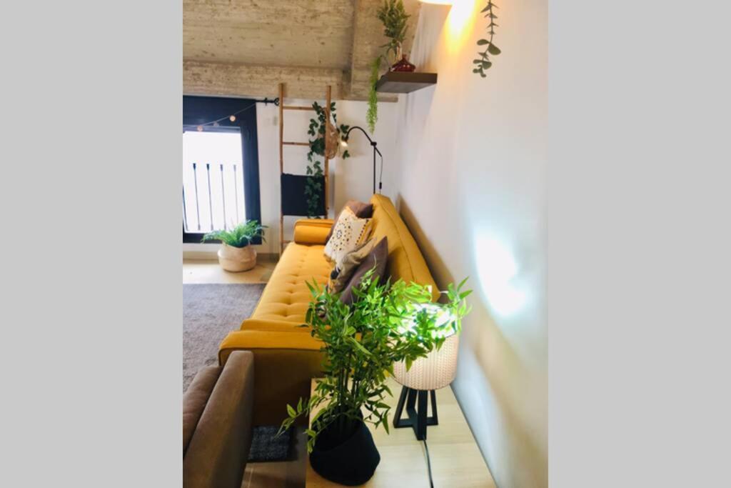 格拉纳达Apartamento Centro Catedral Botanico公寓 外观 照片